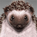 greshnikebay